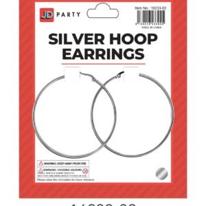 Silver Hoop Earrings