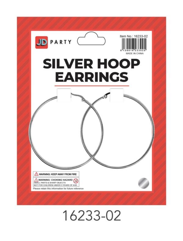Silver Hoop Earrings