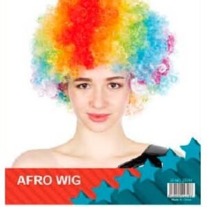 Afro Wig Rainbow