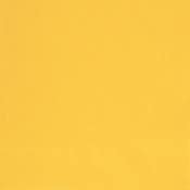 Yellow Beverage Napkins 2ply - 20pk
