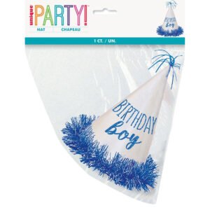 BIRTHDAY BOY GLITTER HAT