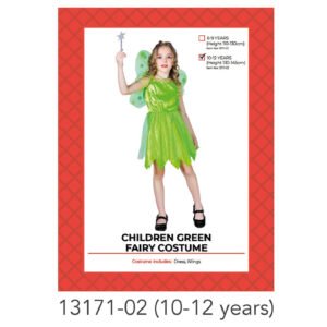 Children Green Fairy Costume (10-12 years)