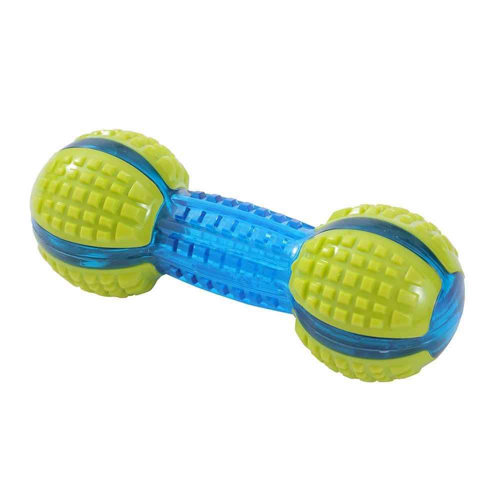 Geo Squeak + Chew Bone