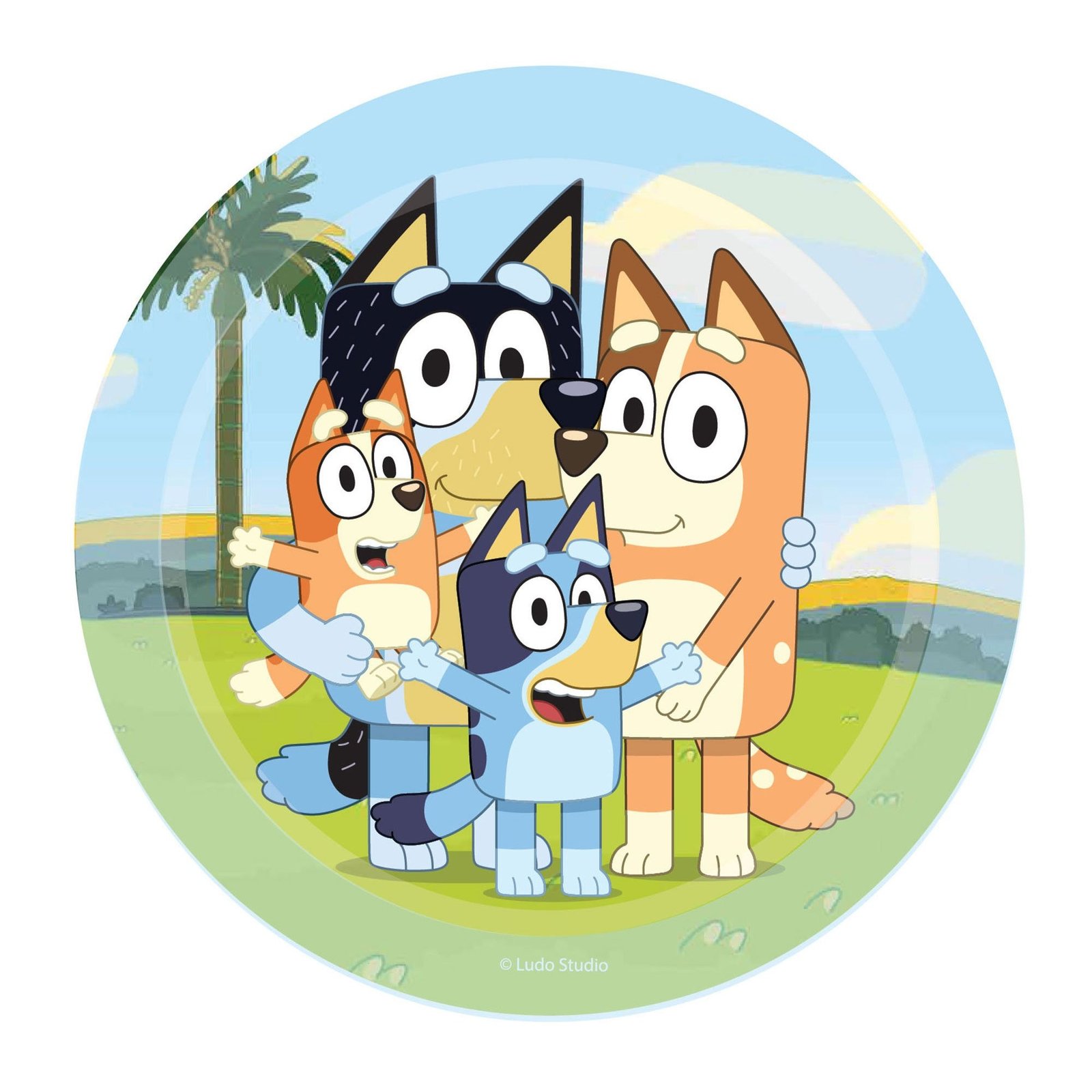 8 Bluey 17cm Round Paper Plates