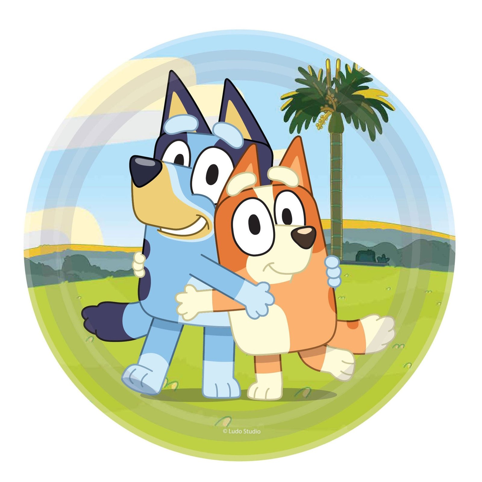 8 Bluey 23cm Round Paper Plates NPC