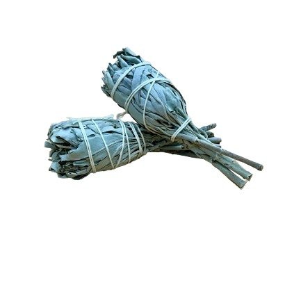 White Sage Smudge (Mexican) - Mini Torch