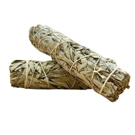 White Sage Smudge Stick (Mexican)- Medium (6 inch)