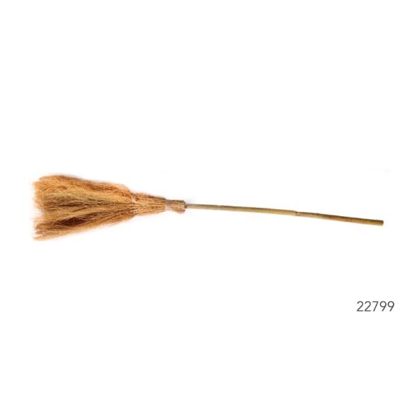 Witch Broom (L)
