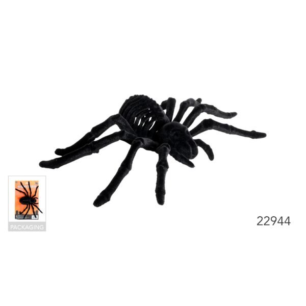 Giant Skeleton spider