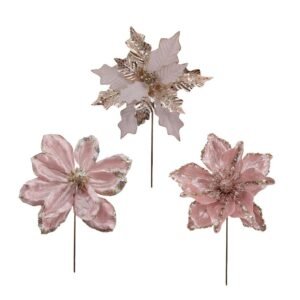 Xmas Pink Poinsettia 27-34Cm (Top)